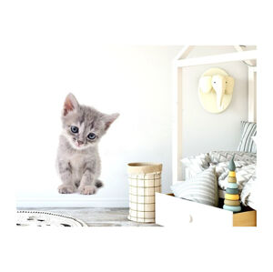 Pastelowe Love Nálepka na zeď - zvířátka - koťátko Velikost: velká
