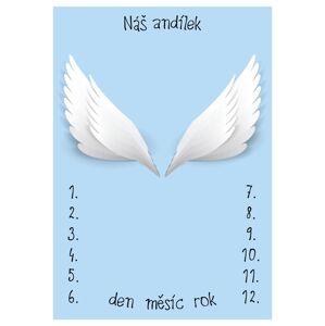 ELIS DESIGN Milníková deka na focení miminek Andělská křídla modrá varianta: se jménem miminka