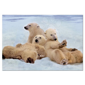 Educa Puzzle Rodinka ledních medvědů 500 dílů 14434 barevné
