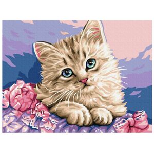 mamido  Malování podle čísel Kočka 40x50 cm