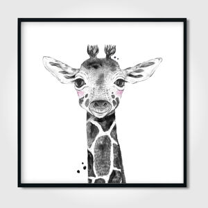 Česká výroba Plakát Žirafa doplňky: Žirafa s kšiltovkou