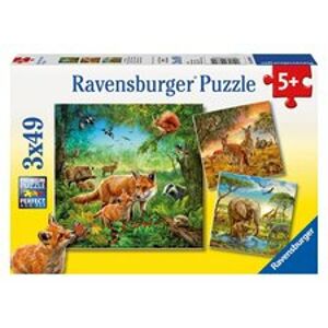 Ravensburger Zvířata v zoo lese nebo v domě 3 x 49 dílků
