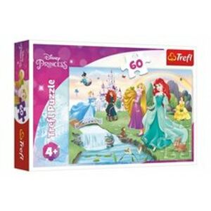 Teddies TREFL Seznamte se s Disney princeznami 60 dílků