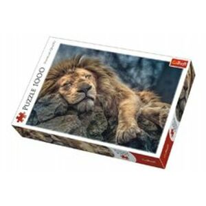 Trefl Puzzle Spící Lev 1000 dílků v krabici 40x27x6cm