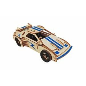 Woodcraft Dřevěné 3D puzzle Závodní auto F 20