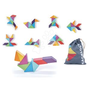 Dřevěná magnetická stavebnice Designer Magblocs Tender Leaf Toys 8 trojúhelníkových tvarů v sáčku